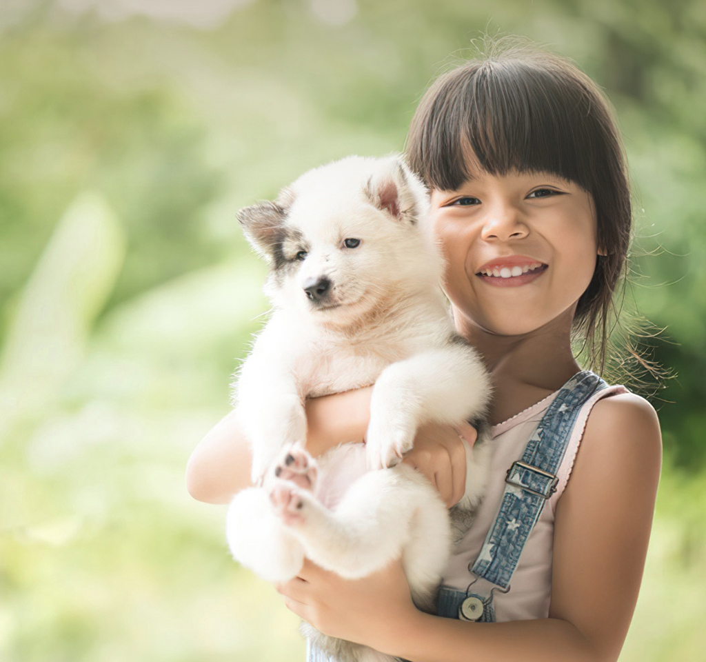 PP电子(中国)有限公司官网