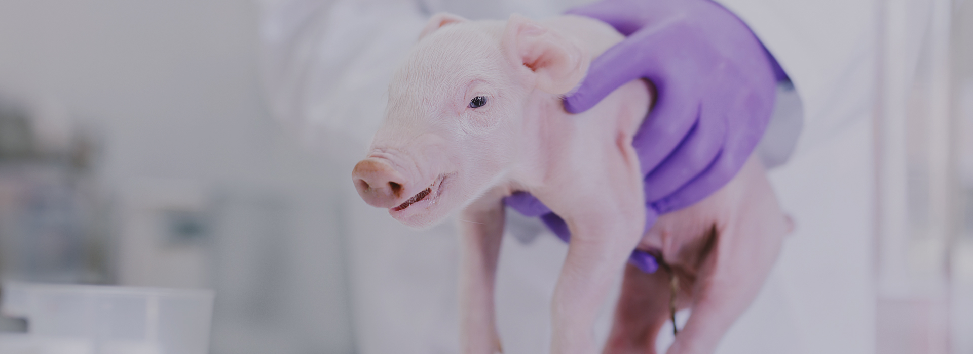 PP电子(中国)有限公司官网